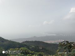 -海南铜鼓岭景区