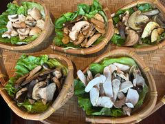 -滇野云南野生菌餐厅(陕西南路店)