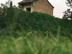 -汉长安城未央宫国家考古遗址公园