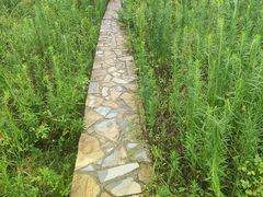 -桤木河湿地公园