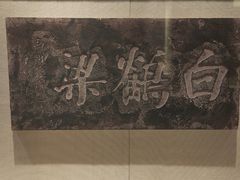 -白鹤梁水下博物馆