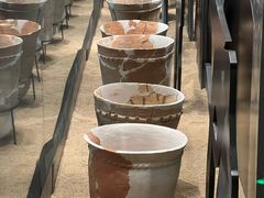 -盘龙城遗址博物院