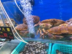 -船梆煮•蒸汽海鲜·炉火烤肉(五四广场店)