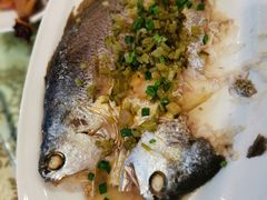 -黄浦江游览(十六铺3号码头)