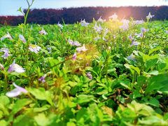 -湖南烈士公园(芙蓉区)