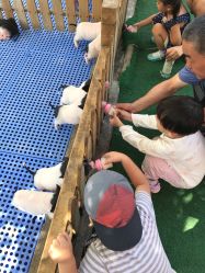 -萌宠亲子动物乐园(槐房万达店)