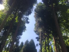 -太阳湾风景区