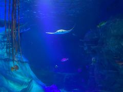 -沈阳海洋探索中心