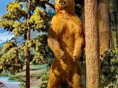 -陕西自然博物馆