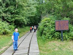 -五营红松林海景区