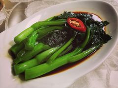 白灼靓菜心-海联潮港城