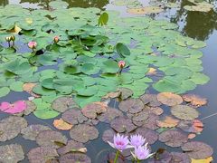 -国家植物园南园