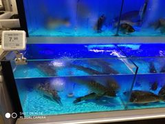 店内环境&nbsp;活鱼水产区-物美超市(金宝街店)