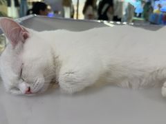 -吾悦广场(南京鼓楼店)