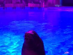 -芜湖新华联大白鲸海洋公园