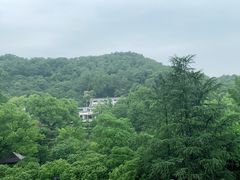 -杭州花家山庄