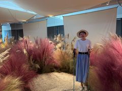 -精绝七日-新疆尼雅遗址数字大展【拉法耶文化艺术中心】