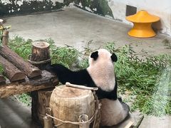 -杭州动物园