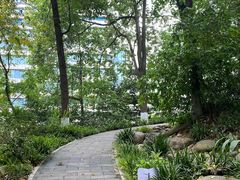 -成都市活水公园
