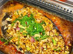 -黑猫馋纸包鱼(阳光店)