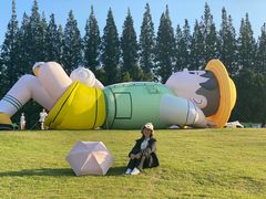 -黄海国家森林公园