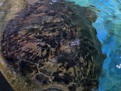 -多彩贵州城极地海洋世界