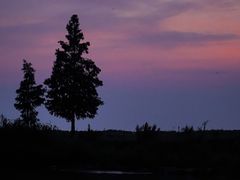 -滆湖低碳生态公园