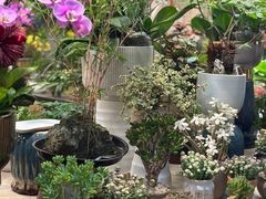 -双季花艺园艺市场(浦东店)