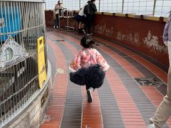 -中央电视塔旋转餐厅