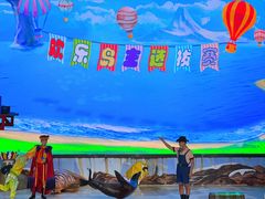 -三亚海昌梦幻海洋不夜城