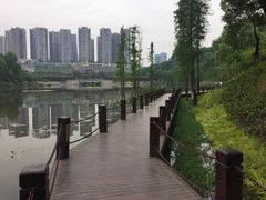 -重庆彩云湖湿地公园