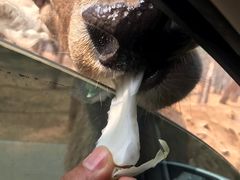 -秦皇岛野生动物园