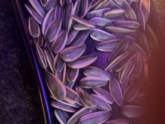 -路边边.炒菜烧烤.音乐餐厅(良乡长虹店)