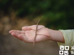 -英孚教育青少儿(东二环泰禾中心)