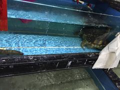 -渔傅·蓝海岸霞浦海鲜(正祥店)