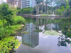-四海公园(南山区)