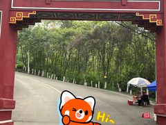 -成都老君山