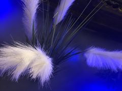 -绿茶餐厅(燕郊永旺店)