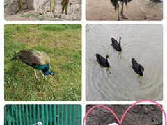 -西霞口神雕山野生动物世界