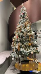 -3AM HAIR SALON染发接发