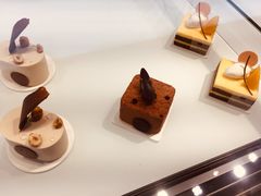 -BLACKSWAN黑天鹅(环球店)
