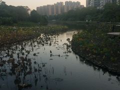 -金山公园