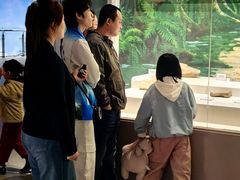 -辽宁古生物博物馆