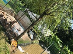 -前小桔亲子创意农场·草莓采摘·露营烧烤