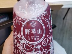 -野萃山·潮汕厚果汁(十亩地店)