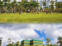 -芒洲湿地公园