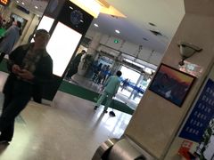 -上海市东方医院(总院)