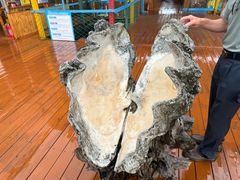 -蓝湾碧波·老字号·疍家非遗海上餐厅