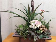 -大理老字号·舟渔的鱼野生菌海景餐厅(双廊店)