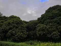 -荔香公园